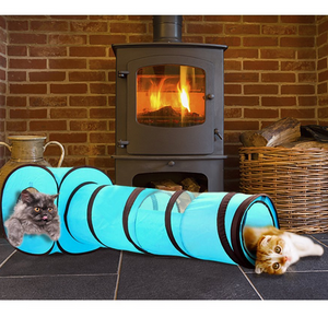 Cat Tunnel Pop Up Toy