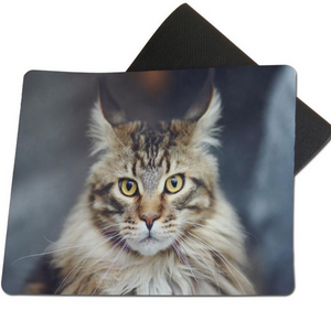 Maine Coon Cat Mouse Pad w/ Non-Skid Rubber