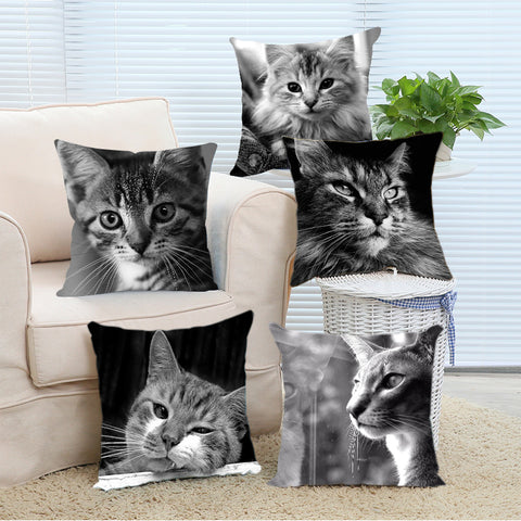 Black & White Maine Coon Cat Pillow Case  2 Sided - PILLOW CASE ONLY