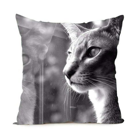 Black & White Maine Coon Cat Pillow Case  2 Sided - PILLOW CASE ONLY