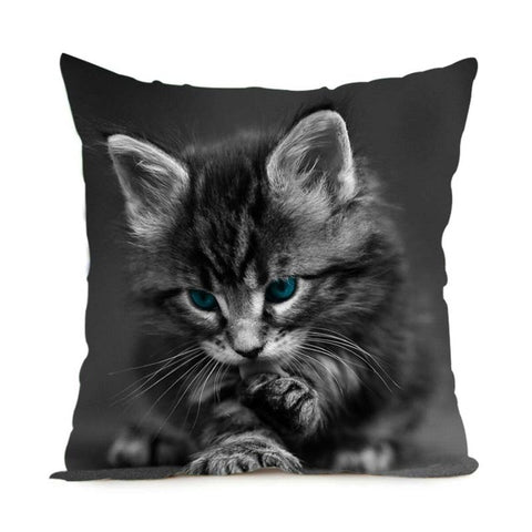 Black & White Maine Coon Cat Pillow Case  2 Sided - PILLOW CASE ONLY