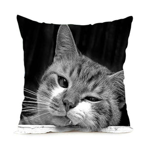 Black & White Maine Coon Cat Pillow Case  2 Sided - PILLOW CASE ONLY