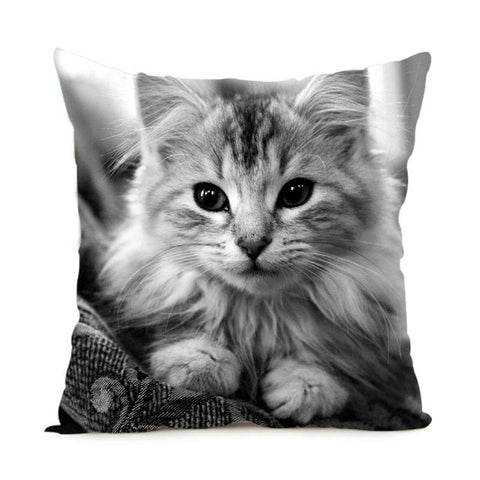 Black & White Maine Coon Cat Pillow Case  2 Sided - PILLOW CASE ONLY