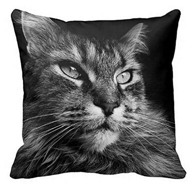 Black & White Maine Coon Cat Pillow Case  2 Sided - PILLOW CASE ONLY