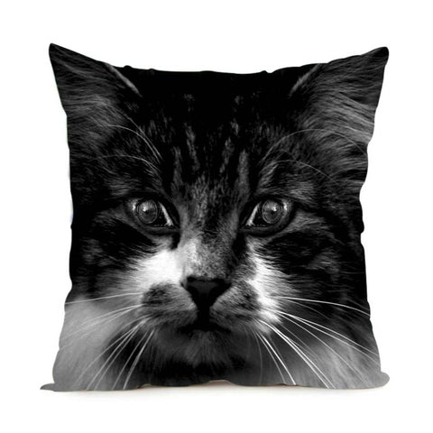 Black & White Maine Coon Cat Pillow Case  2 Sided - PILLOW CASE ONLY