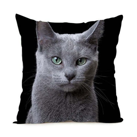 Black & White Maine Coon Cat Pillow Case  2 Sided - PILLOW CASE ONLY