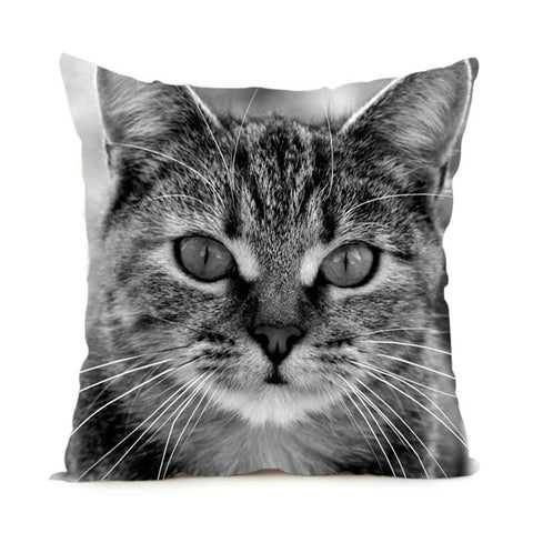 Black & White Maine Coon Cat Pillow Case  2 Sided - PILLOW CASE ONLY