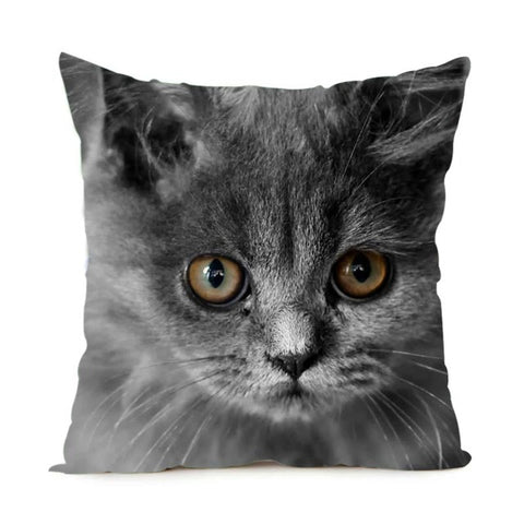 Black & White Maine Coon Cat Pillow Case  2 Sided - PILLOW CASE ONLY