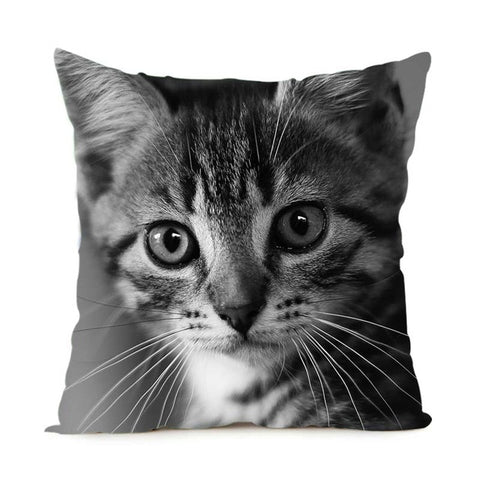 Black & White Maine Coon Cat Pillow Case  2 Sided - PILLOW CASE ONLY