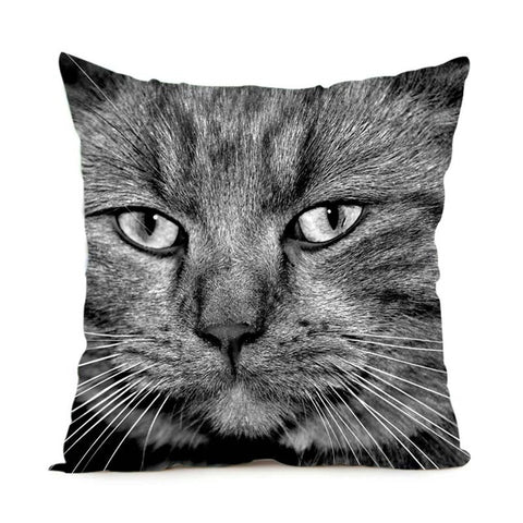 Black & White Maine Coon Cat Pillow Case  2 Sided - PILLOW CASE ONLY