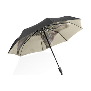 Maine Coon Cat Umbrella Fully-Automatic