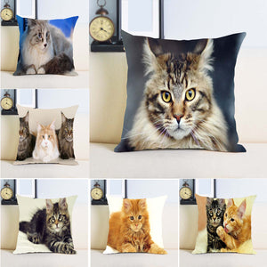 Maine Coon Cat Single Sides Printing Soft Simple Cool Throw Pillow Bedding Set - PILLOW CASE ONLY