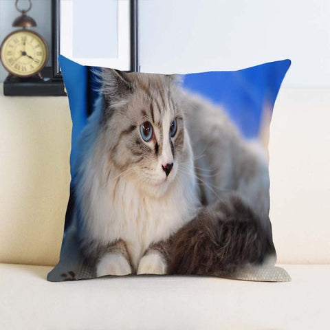 Maine Coon Cat Single Sides Printing Soft Simple Cool Throw Pillow Bedding Set - PILLOW CASE ONLY