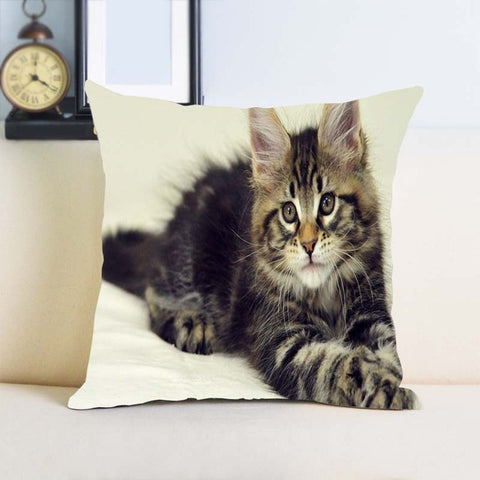 Maine Coon Cat Single Sides Printing Soft Simple Cool Throw Pillow Bedding Set - PILLOW CASE ONLY