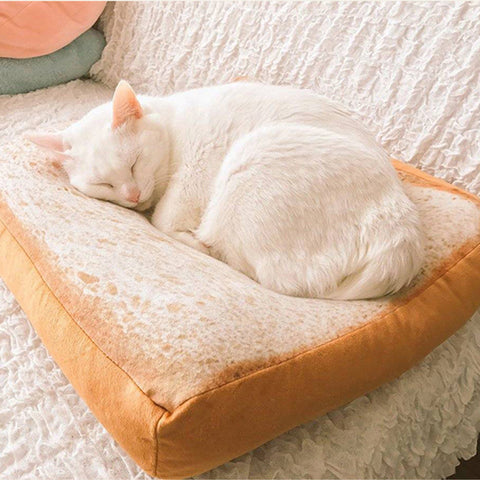 Cat bed Cushion Sofa