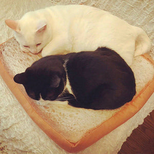 Cat bed Cushion Sofa